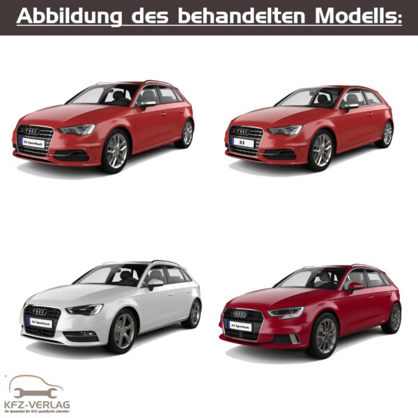 modellbild-audi-a3-s3-8v-2012-2020-werkstatthandbuch