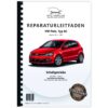 VW-Polo-6C-0014