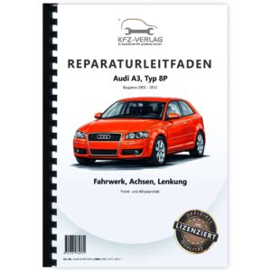 Audi-A3-8P-0010