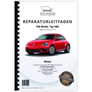 VW-Beetle-NBL-0021