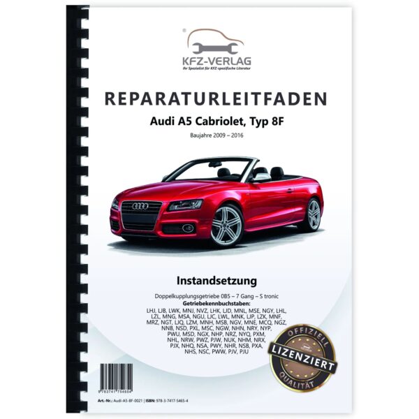 Audi-A5-8F-0021