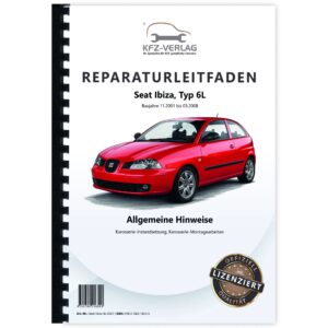 Seat-Ibiza-6L-0027